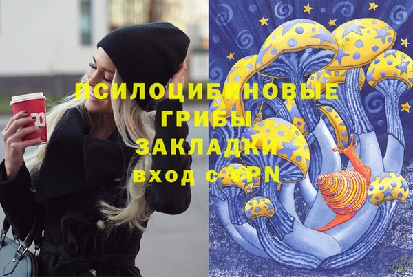 ALPHA-PVP Мегион