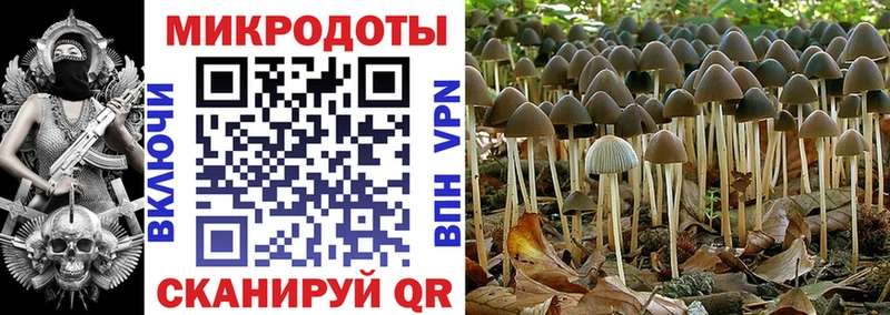 Галлюциногенные грибы мицелий  Злынка 